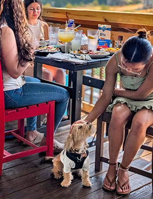 Dog Friendly Restaurants